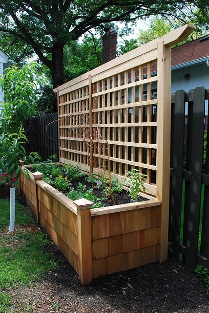 garden-bed-01.jpg