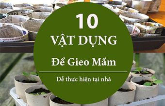 10-Vat-dung-de-Gieo-Mam-De-Thuc-Hien-Tai-Nha