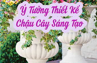 10-y-Tuong-Sang-Tao-Cho-Chau-Cay-Se-Lam-Ban-Thich-Thu