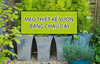 11-Meo-Thiet-Ke-Vuon-Bang-Nhung-Cai-Chau