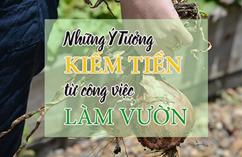 7-y-Tuong-Kiem-Tien-Tu-Cong-Viec-Lam-Vuon