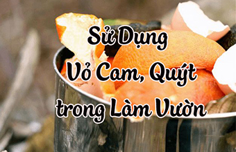 8-Cach-Su-Dung-Vo-Cam-Quyt-Trong-Lam-Vuon