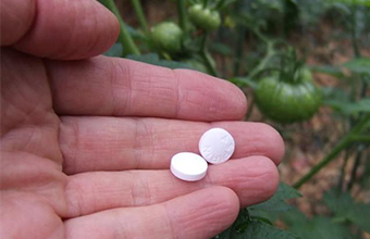 Aspirin-Su-Dung-Trong-Lam-Vuon-Cay-Khoe-Manh-den-Bat-Ngo