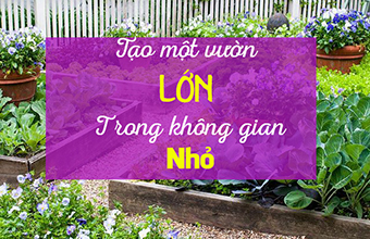 Cach-Lam-Mot-Khu-Vuon-Lon-Trong-Mot-Khong-Gian-Nho