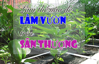Lam-The-Nao-de-Lam-Vuon-Tren-San-Thuong