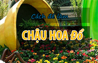 Lam-the-nao-de-lam-mot-chau-hoa-do