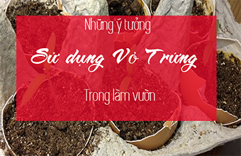 Nhung-y-Tuong-Su-Dung-Vo-Trung-Cho-Khu-Vuon-Cua-ban