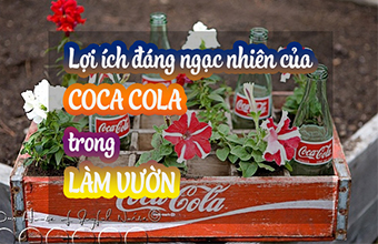 Su-Dung-Coca-Cola-Trong-Lam-Vuon