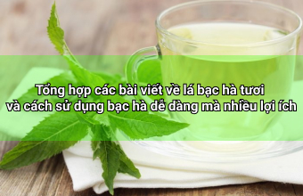 Tong-hop-cac-bai-viet-ve-la-bac-ha-tuoi