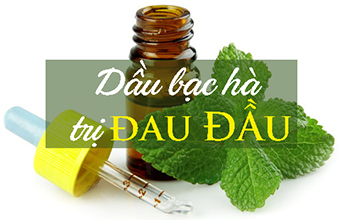 dau_bac_ha