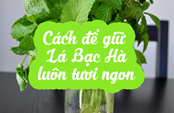 la_bac_ha_021