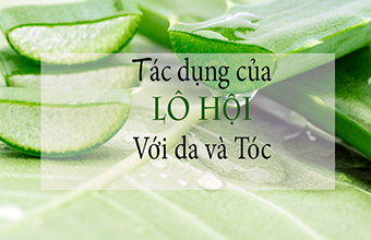 loi_ich_cua_lo_hoi_01