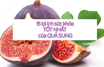 loi_ich_suc_khoe_cua_qua_sung_03