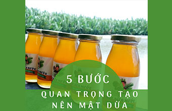 quy-trinh-tao-mat-dua-thumbnail