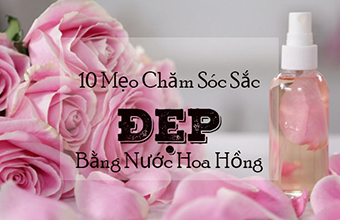 su_dung_nuoc_hoa_hong_cham_soc_sac_dep_01