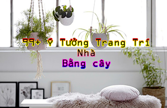 trang_tri_cay_trong_nha_001