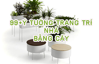 trang_tri_nha_bang_cay_013