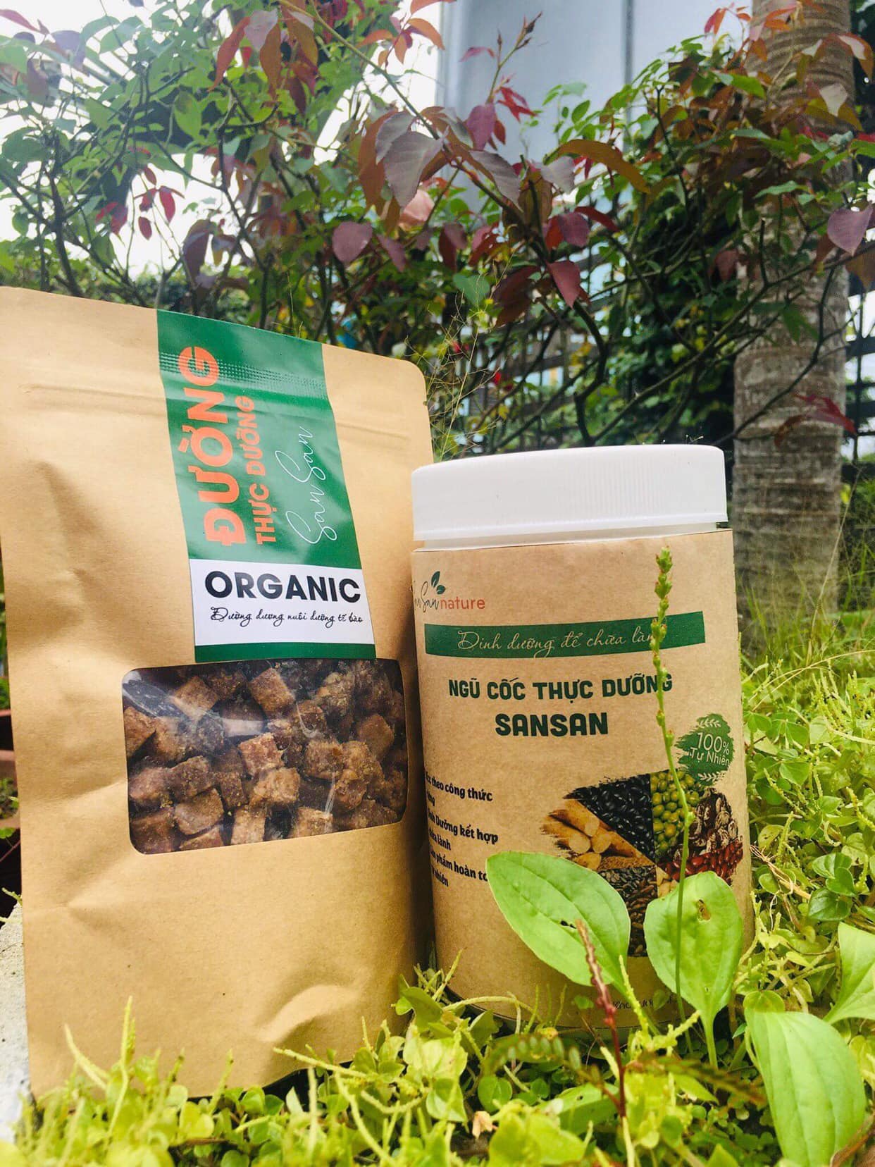 Combo Bột ngũ cốc và Đường thực dưỡng
